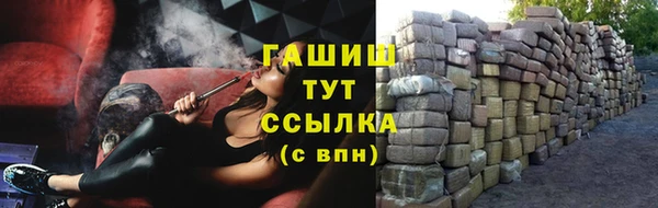 прущие грибы Михайловск