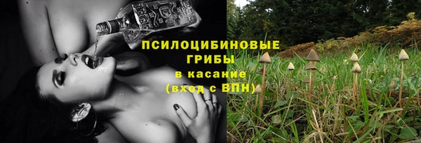 первитин Медногорск