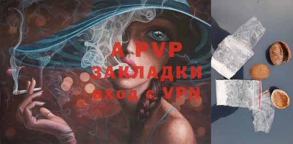 трава Медвежьегорск