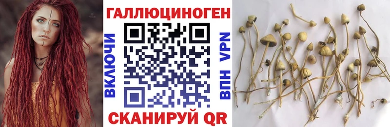 Галлюциногенные грибы мицелий  Купить закладки  Кувандык 